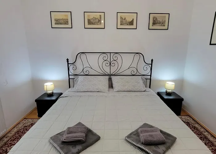 Traveler's Retreat 아파트 브라쇼브